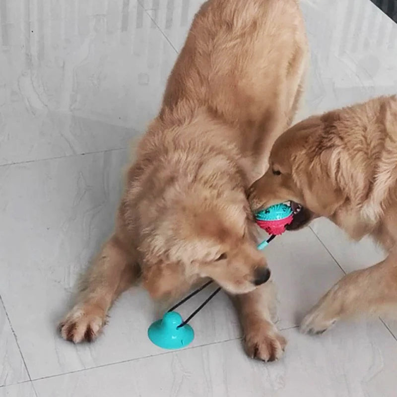 Dog Chew Toys with Molar Leakage Food-Device Suction Cup Vent Resistance Bite Tug Gnawing Playful Pet Products Accessories