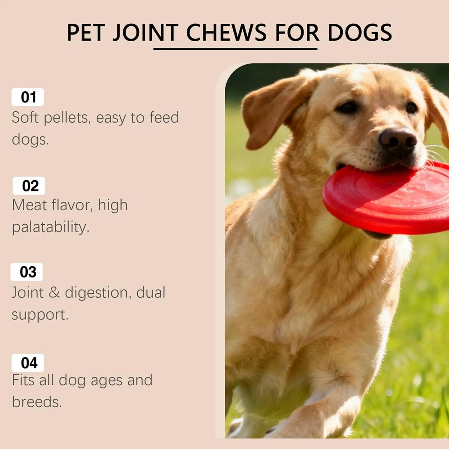 Dog Joint Supplement Chewable Pill 100-piece Dog Joint And Hip Supplement For Home Travel Daily Care Digestive Absorption Pet